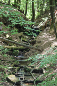 Eldendsklamm ravine near Bruchmühlbach