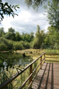 Erdekaut Ecological Park Eisenberg