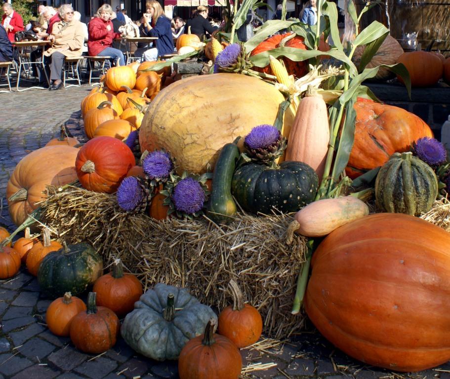 Various Pumpkins