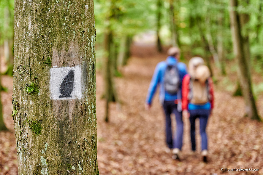 View showing logo of Hinkelstein Hiking Trail and two hikers