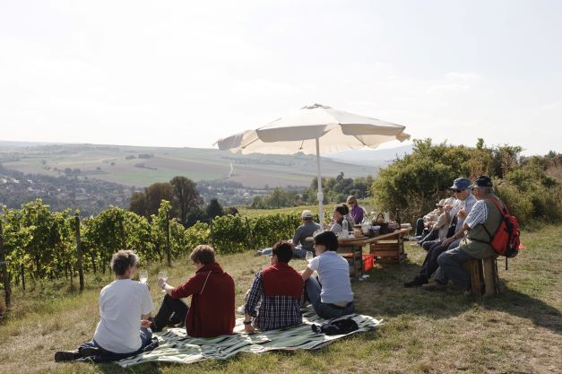 Wine tasting with snacks at a vineyard in Zellertal County