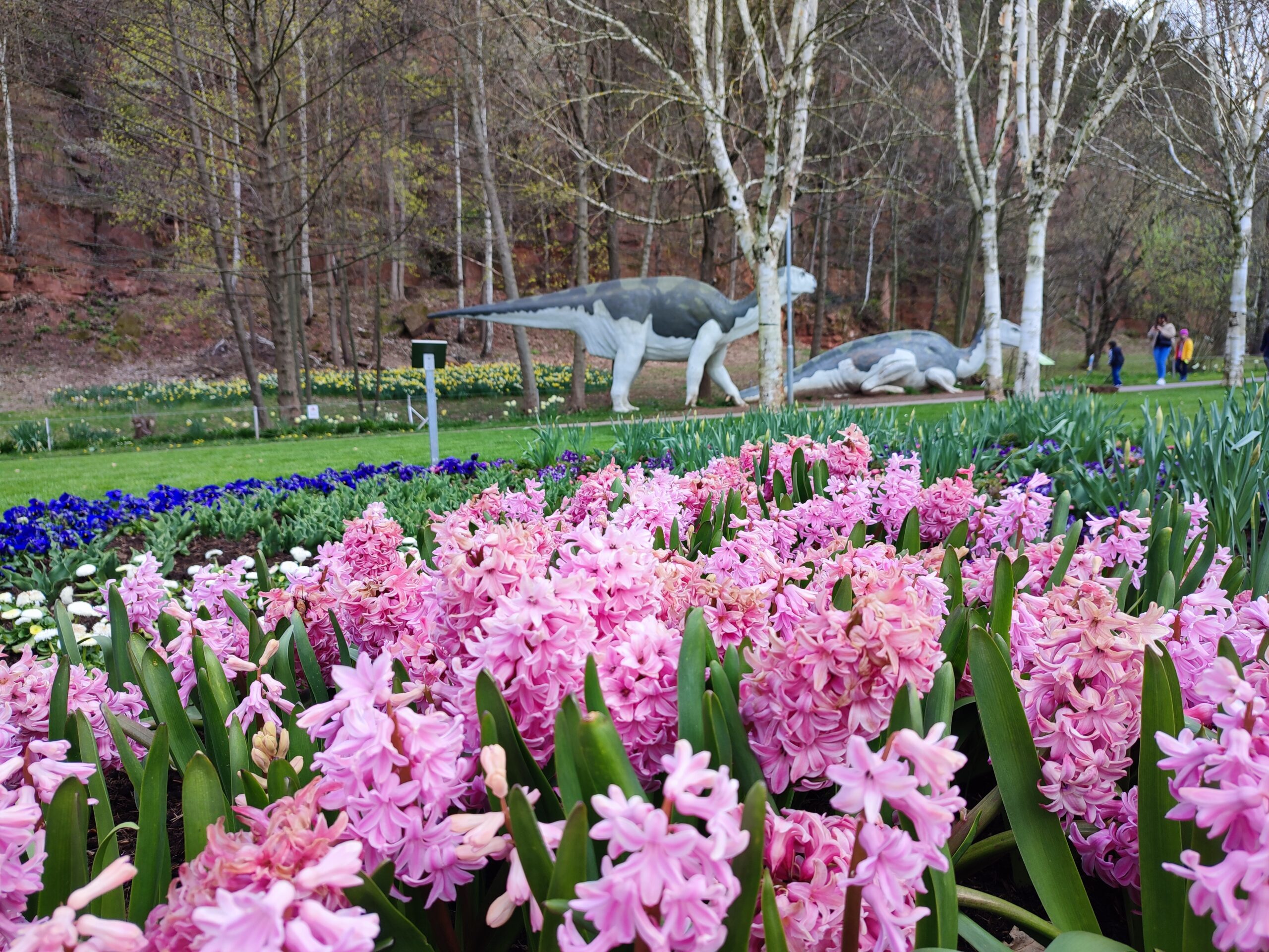 Picture of Kaiserslautern Gartenschau