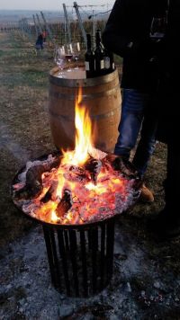 Fireplace at the Red Wine Hike in Freinsheim