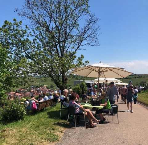 Picture of the Culinary Hike in Birkweiler