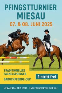 Poster of the Horse Show in Miesau